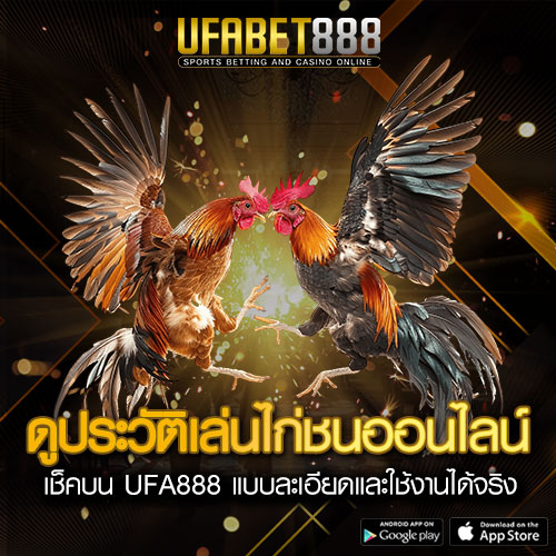 ดูประวัติเล่นไก่ชนออนไลน์ UFA888